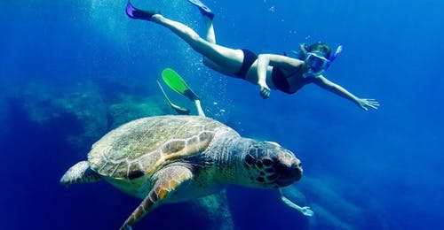 Picture of a girl swimming next to a trutle during the Boat Trip to the Keri Caves with Turtle Spotting with Best of Zante