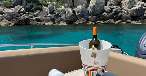 Balade privée en bateau - Monte Monaco  & Baignade avec Egadi Charter & Tour.