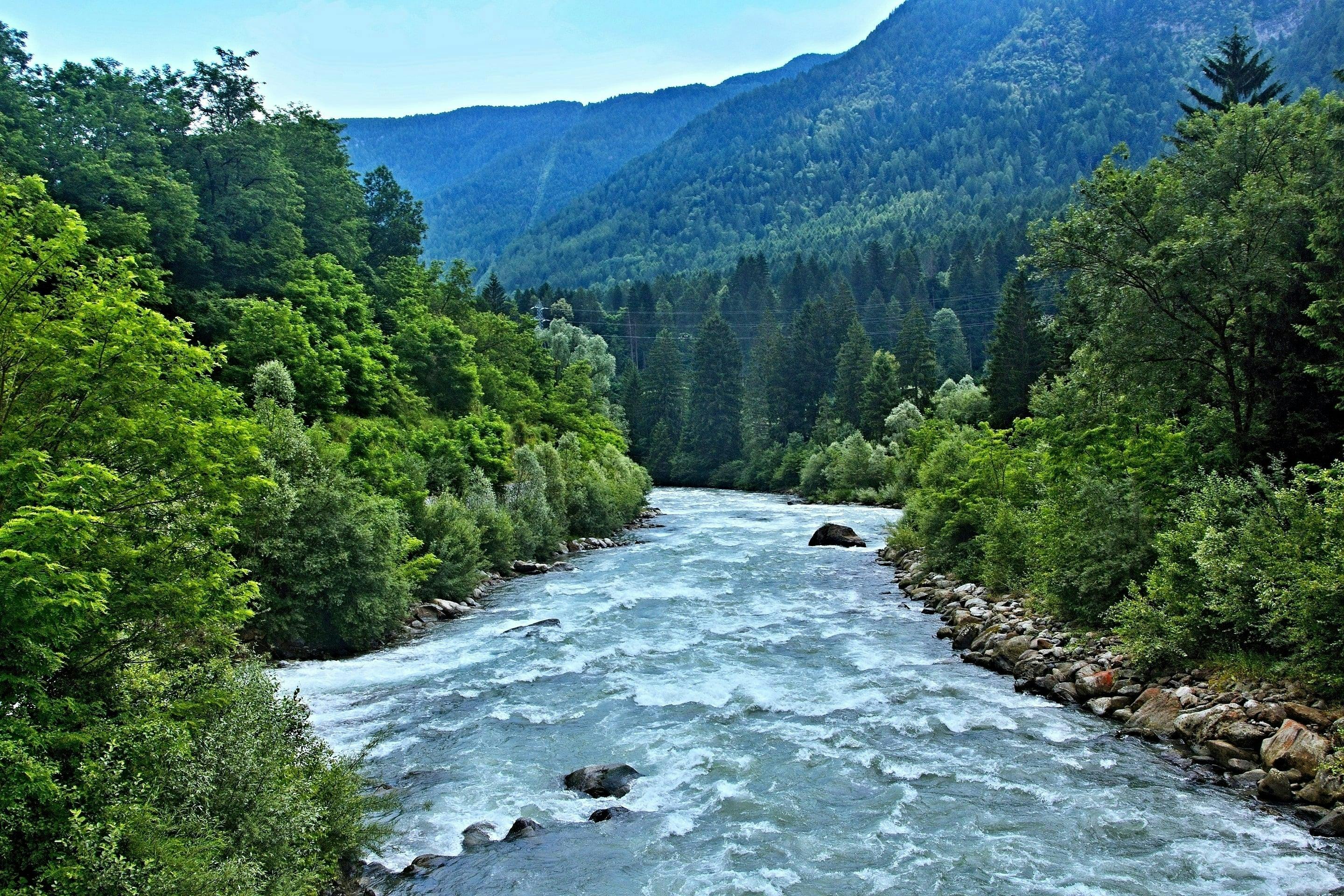 Un'immagine del fiume Noce, luogo molto popolare per fare rafting in Val di Sole.